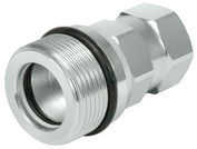 Category: SK-CVC Muffe