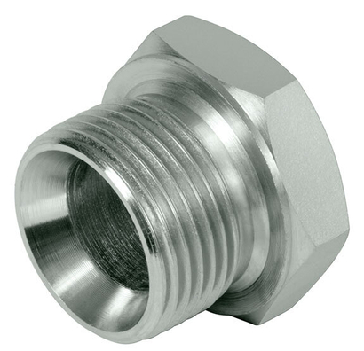 Accessories: Closure plug - BSP