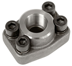 Category: Einschraubflansch 3000 PSI Komplett