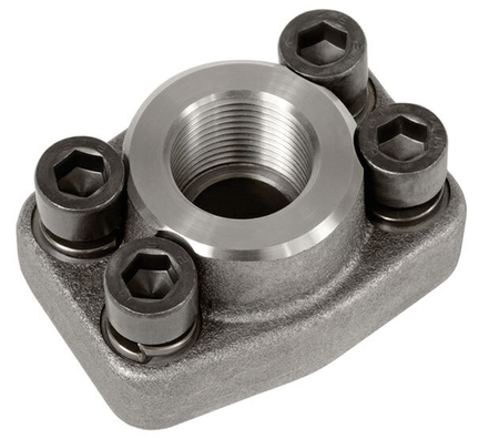 Einschraubflansch 3000 PSI Komplett